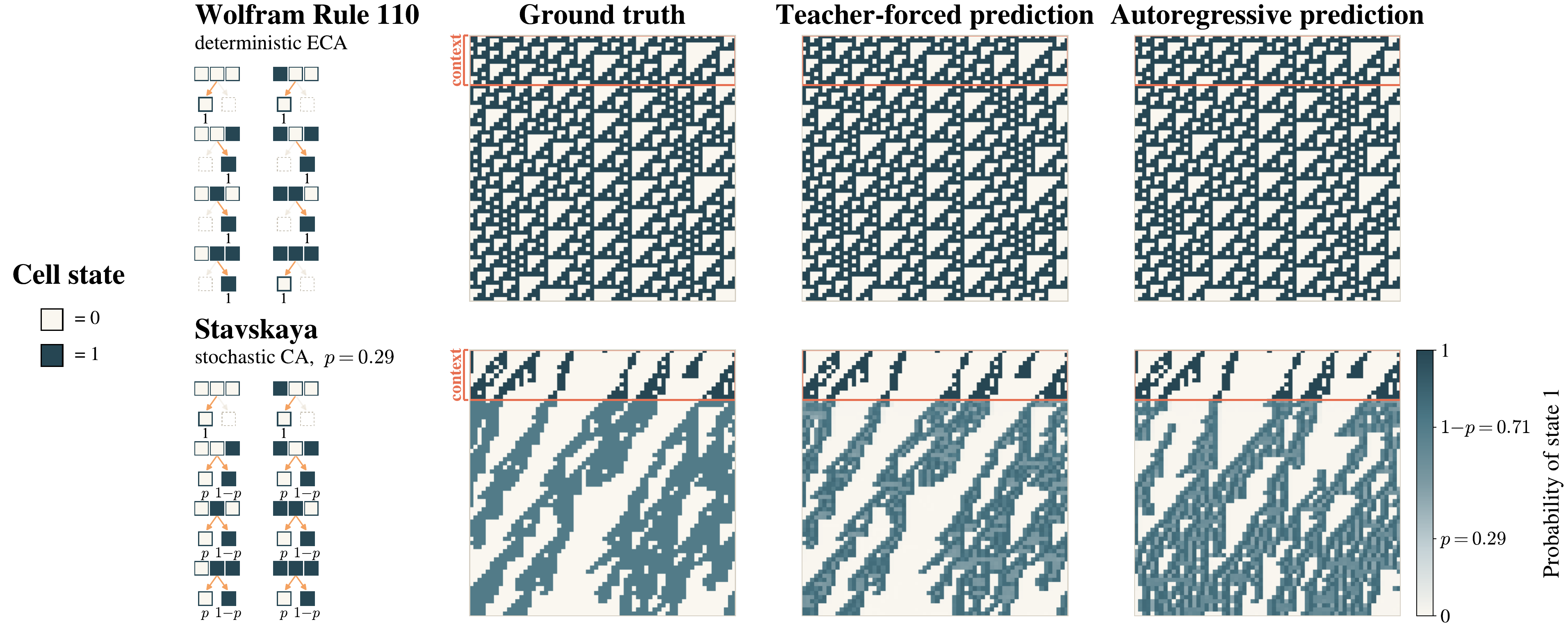 Ground truth, teacher-forced, and autoregressive predictions for Rule 110 and the Stavskaya stochastic automaton